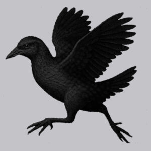 Cooler Bag - Weka in Black Design